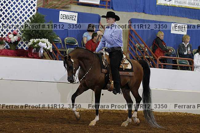 Proof 11r12_3350