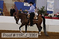 11r12_3351 proof