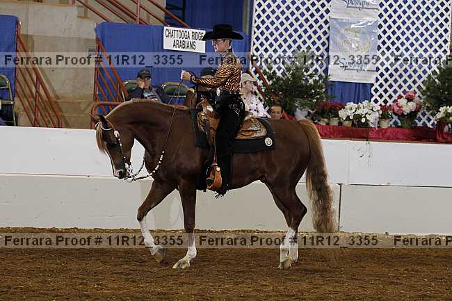 Proof 11r12_3355