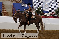 11r12_3355 proof