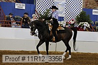 11r12_3356 proof