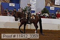 11r12_3359 proof