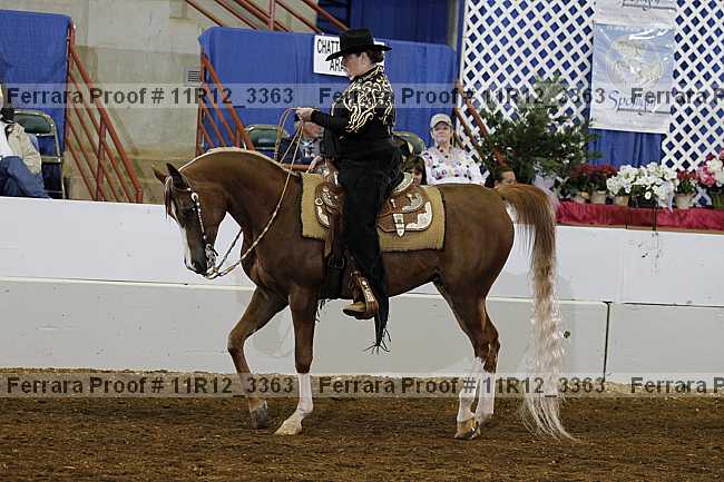 Proof 11r12_3363