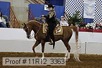 11r12_3363 proof