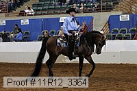 11r12_3364 proof