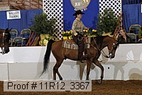 11r12_3367 proof