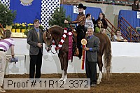 11r12_3372 proof