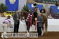 11r12_3374 proof