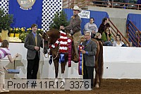 11r12_3376 proof