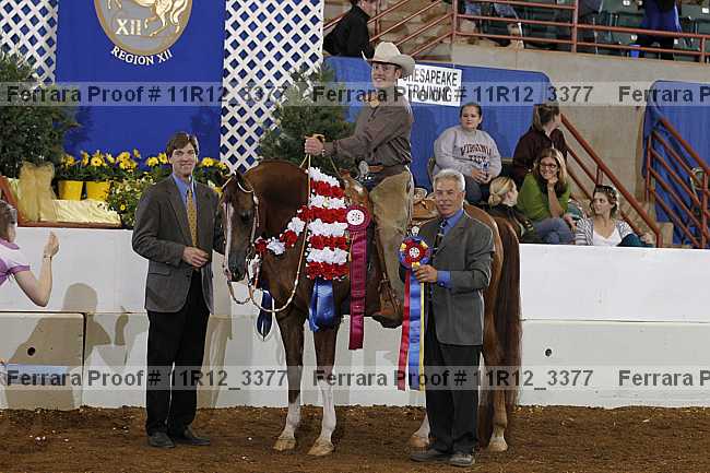 Proof 11r12_3377