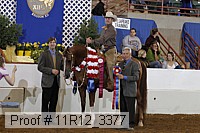 11r12_3377 proof