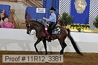 11r12_3381 proof