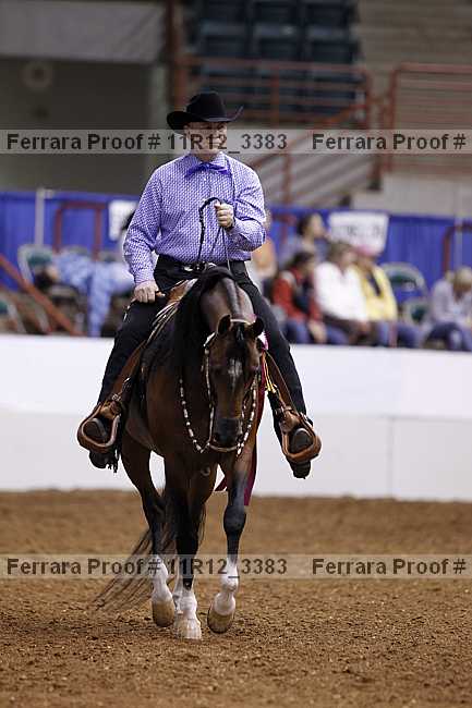 Proof 11r12_3383