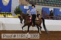 11r12_3385 proof