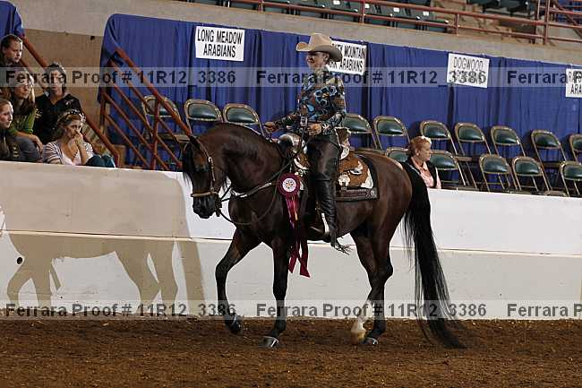 Proof 11r12_3386
