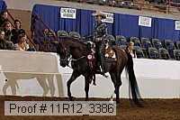 11r12_3386 proof