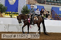 11r12_3389 proof