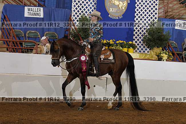 Proof 11r12_3390