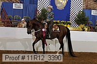 11r12_3390 proof