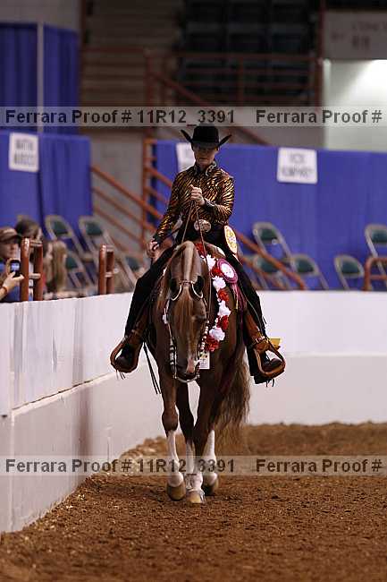 Proof 11r12_3391