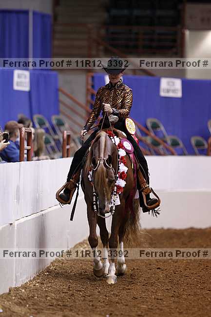 Proof 11r12_3392