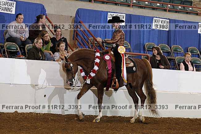 Proof 11r12_3393