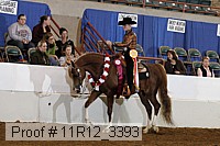 11r12_3393 proof