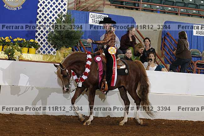 Proof 11r12_3394