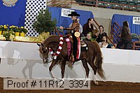 11r12_3394 proof