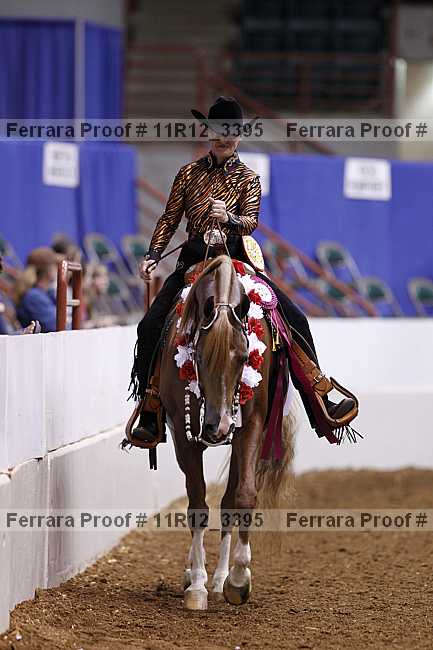 Proof 11r12_3395