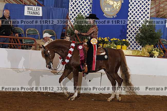 Proof 11r12_3396