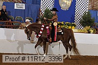 11r12_3396 proof