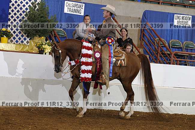 Proof 11r12_3399