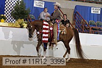 11r12_3399 proof
