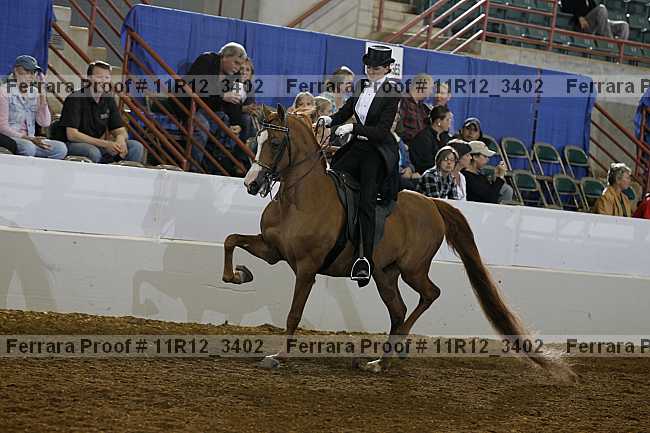 Proof 11r12_3402