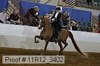 11r12_3402 proof