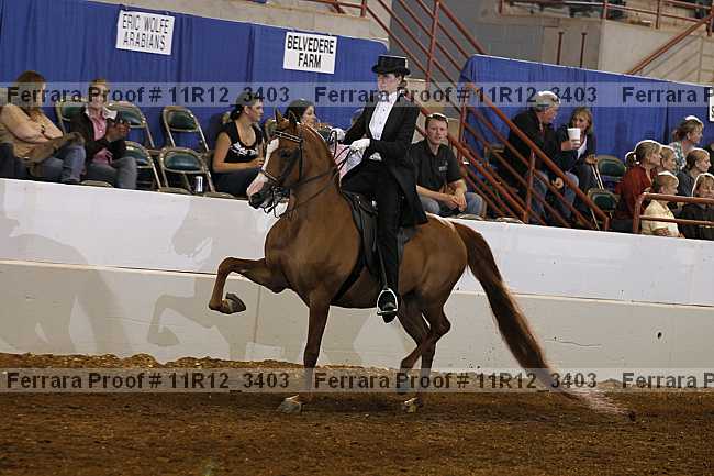 Proof 11r12_3403