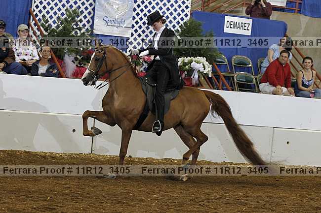 Proof 11r12_3405