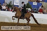11r12_3405 proof