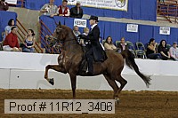 11r12_3406 proof