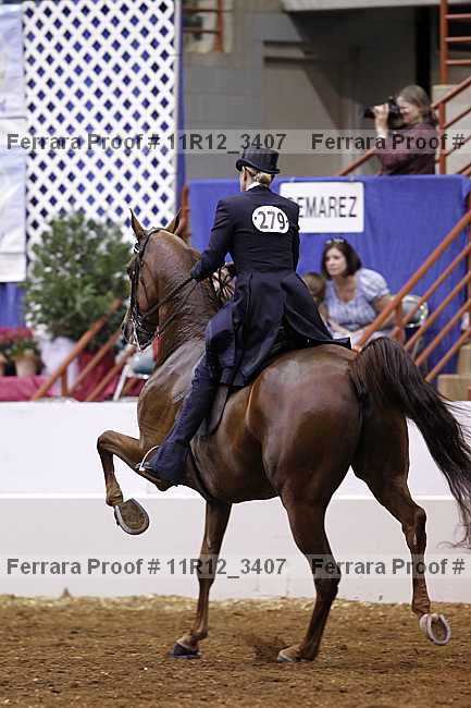 Proof 11r12_3407