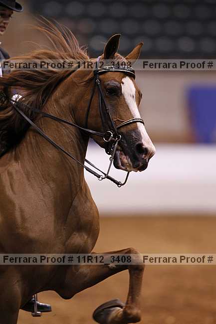 Proof 11r12_3408