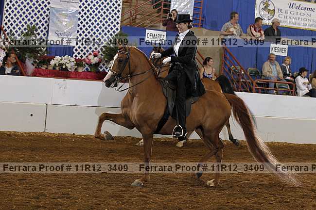 Proof 11r12_3409