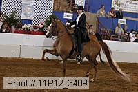 11r12_3409 proof