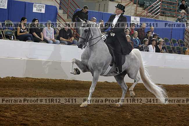 Proof 11r12_3411