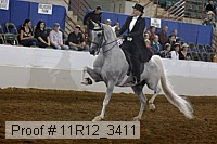 11r12_3411 proof
