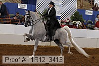 11r12_3413 proof