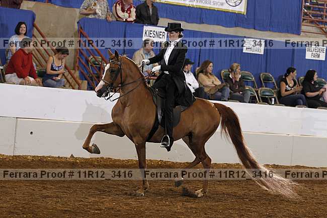 Proof 11r12_3416