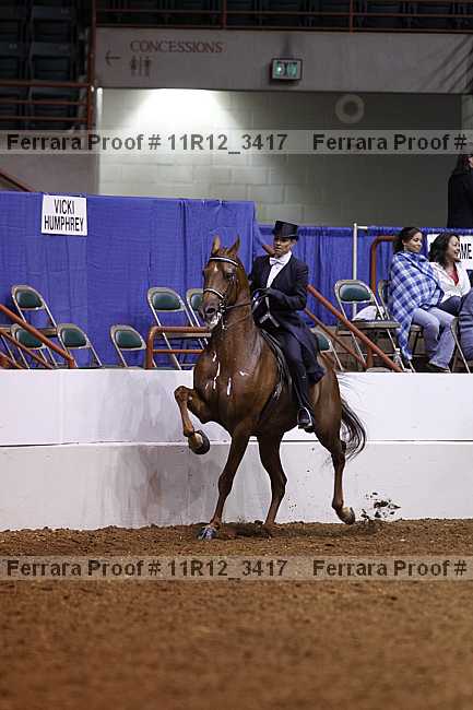 Proof 11r12_3417