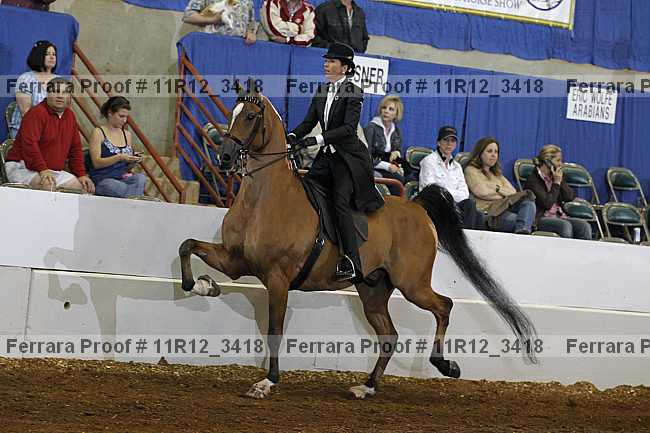 Proof 11r12_3418